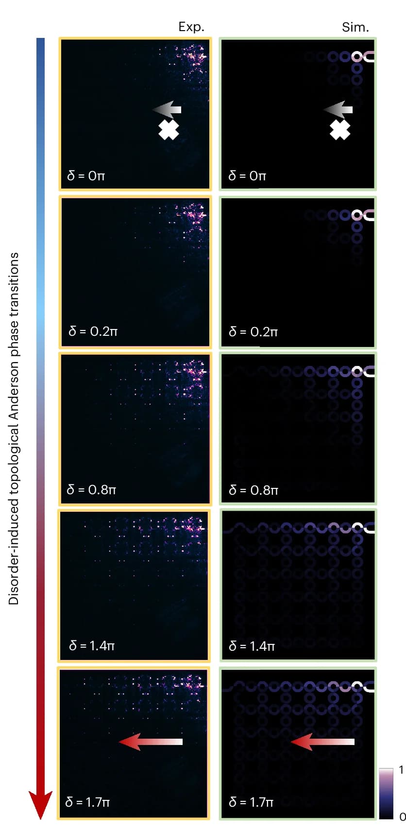Open access visualization of Microscopy, Topological Anderson Phase Transitions, Field Distribution, TAI, Boundary Mode