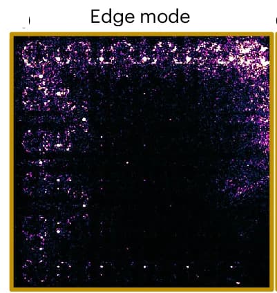 Open access visualization of Microscopy, Real-Space Distributions, Light Field, Topological Edge Mode