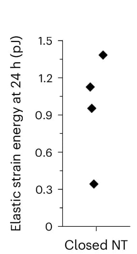 Open access visualization of Scatter Plot, Medial Force, Elastic Energy, Neural Tube, Chick Embryos