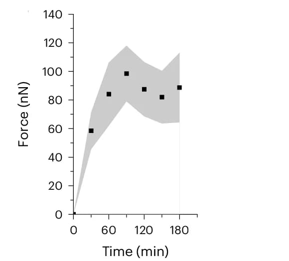 Open access visualization of Line Plot, Scatter Plot, Error Bars, Dynamic Profiling, Medial Compressive Strain