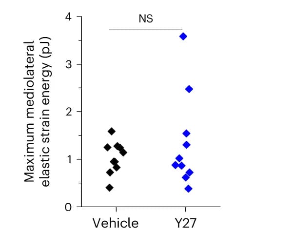 Open access visualization of Scatter Plot, Potential Energy, Embryos, Live Imaging, Not Significant