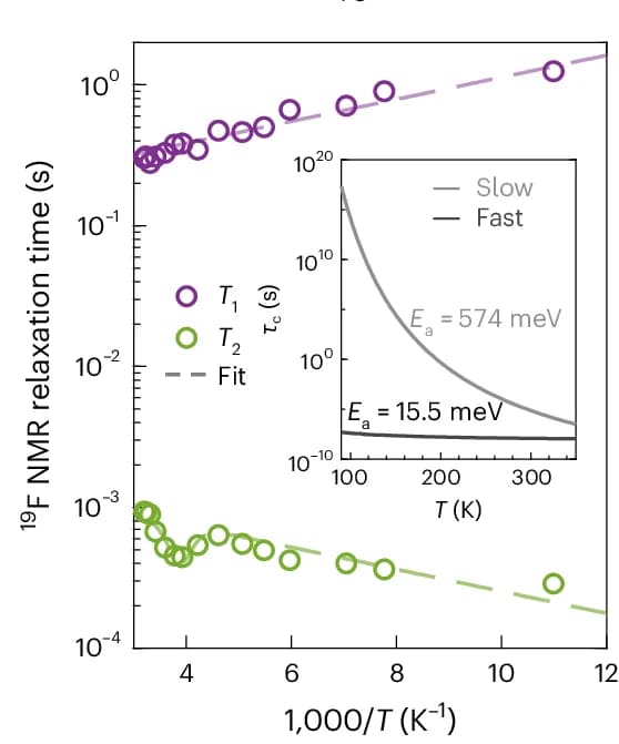 Open access visualization of Line Plot, Scatter Plot, Nuclear Spin-Lattice Relaxation Time, Spin-Spin Relaxation Time, NMR