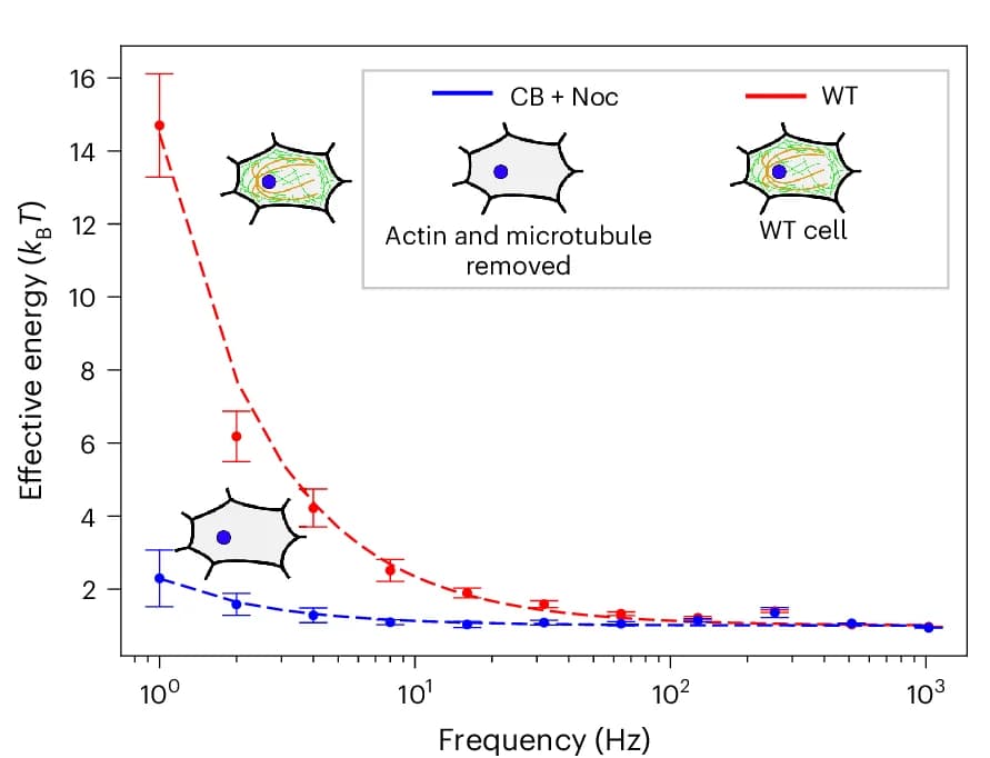 Open access visualization of Line Plot, Error Bars, Effective Energy, WT Cells, Motor Activity