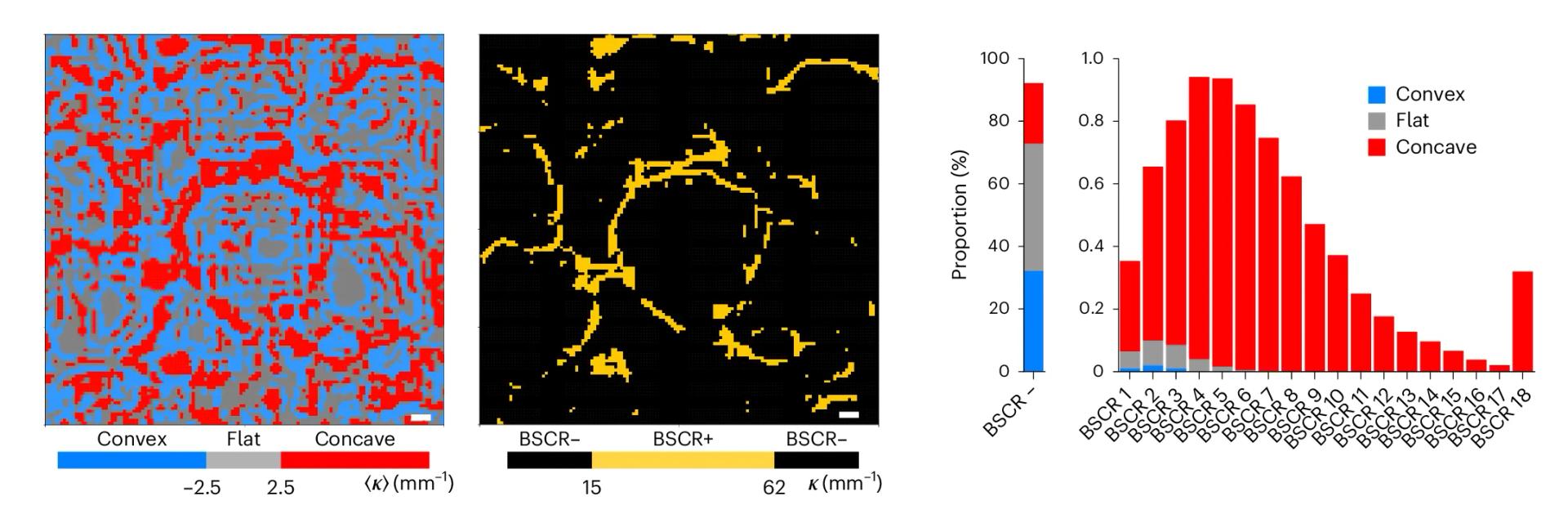 Open access visualization of Bar Plot, Stacked Bar Plot, Heatmap, Topographical Surface, Motif