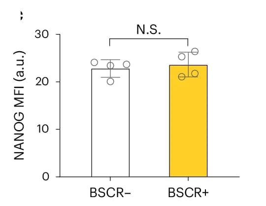 Open access visualization of Bar Plot, Error Bars, NANOG, PSCs, BSCR Areas