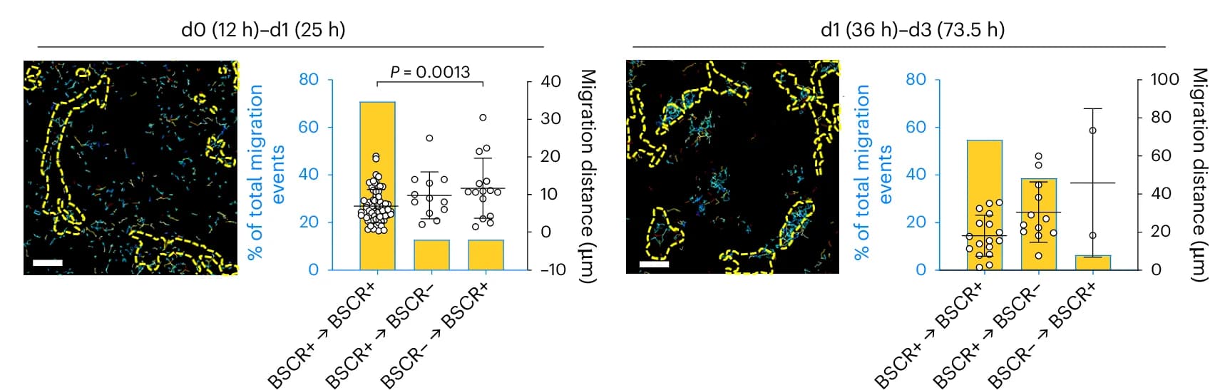 Open access visualization of Bar Plot, Error Bars, Scatter Plot, PSCs Migration, NANOG-GFP