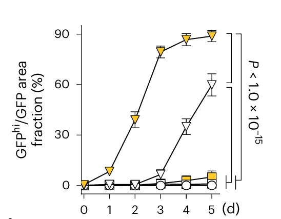 Open access visualization of Line Plot, Error Bars, nPSC, GFP hi Cells, GFP+ Cells
