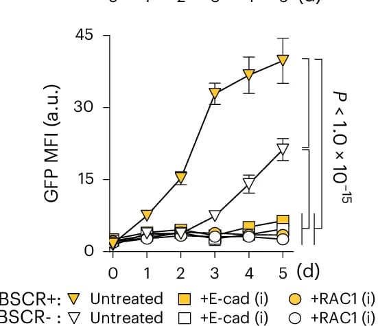 Open access visualization of Line Plot, Error Bars, MFI, GFP, BSCR+ Areas