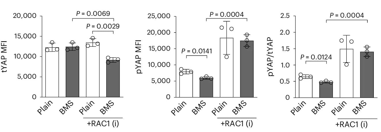 Open access visualization of Bar Plot, Error Bars, Flow Cytometry, YAP, Phosphorylation