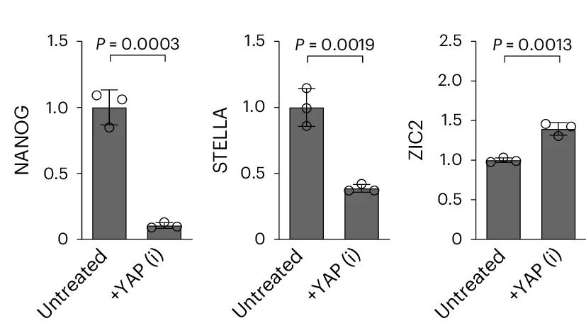 Open access visualization of Bar Plot, Error Bars, NANOG, STELLA, ZIC2