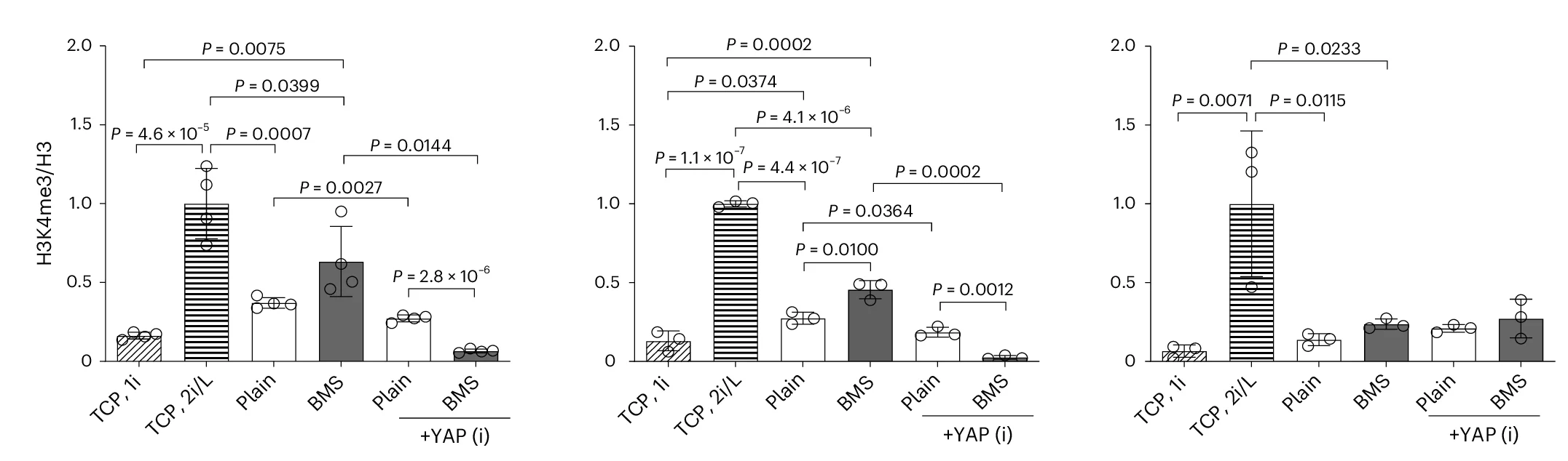 Open access visualization of Bar Plot, Error Bars, Scatter Plot, ChIP PCR, H3K4me3