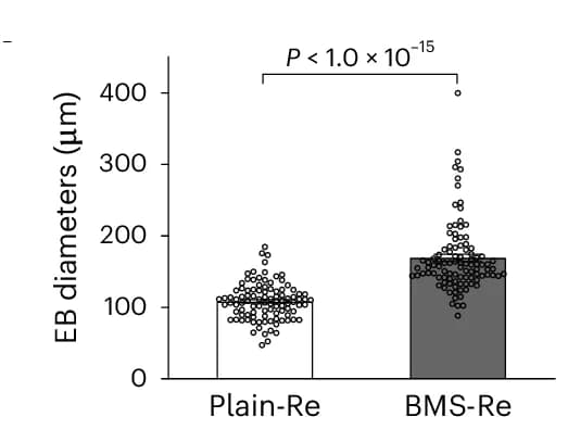 Open access visualization of Bar Plot, Scatter Plot, Embryoid Body Size, YAP Staining, YAP Phosphorylation Level