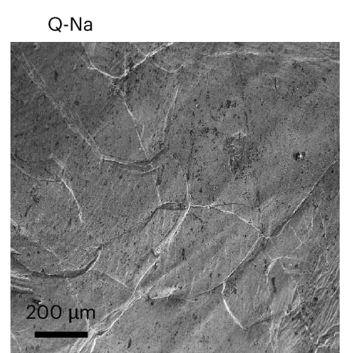 Open access visualization of Microscopy, Sodium, Small Grains, Metal Foils, Q-Na