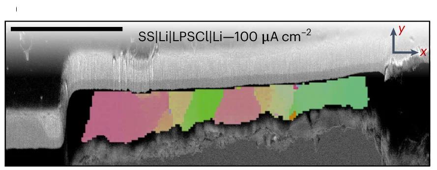 Open access visualization of Microscopy, Cross-sectional IPF Maps, Lithium, SS|LPSCl Interface