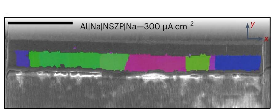 Open access visualization of Microscopy, Cross-sectional IPF Map, Sodium, Al|NZSP Interface