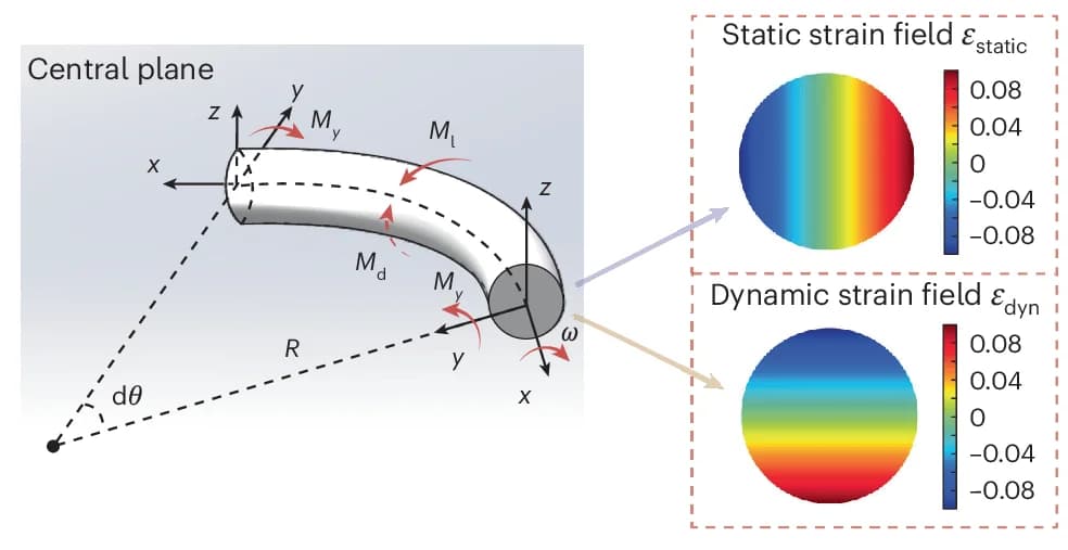 Open access visualization of Illustration, Heatmap, Driving Torque, Strain Fields, Active Torus