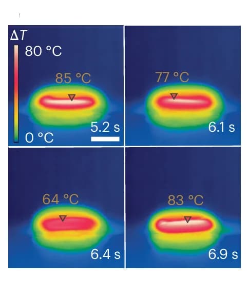 Open access visualization of Heatmap, Infrared Images, Active Torus, Light Irradiation, Inversion Cycle