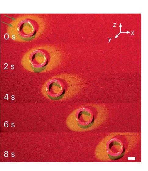 Open access visualization of Photo, Light-Sensitive Torus, Dry Surface, Terrestrial Movement