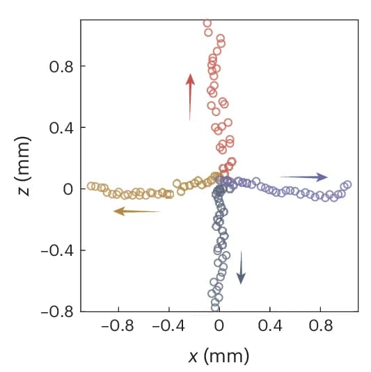 Open access visualization of Scatter Plot, Trajectories, Movement Direction, Irradiation Period, Swimming Velocity