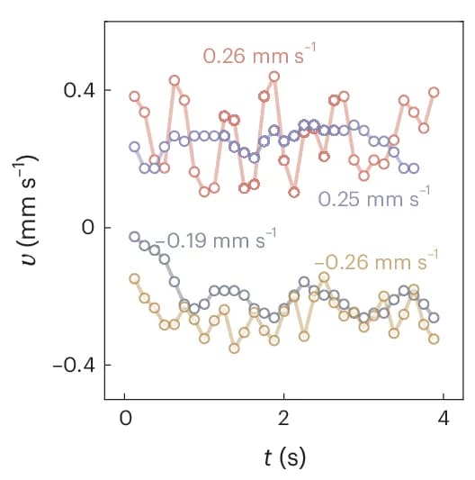 Open access visualization of Line Plot, Translational Velocity, X-Z Plane, Average Velocity, Movement Direction