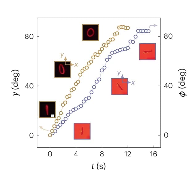 Open access visualization of Line Plot, Photo, Temporal Evolution, Angular Variables, Optical Reorientation