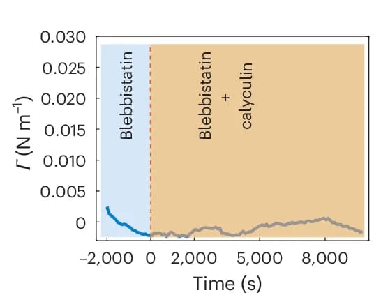 Open access visualization of Line Plot, Tension, Monolayer, Blebbistatin, Calyculin