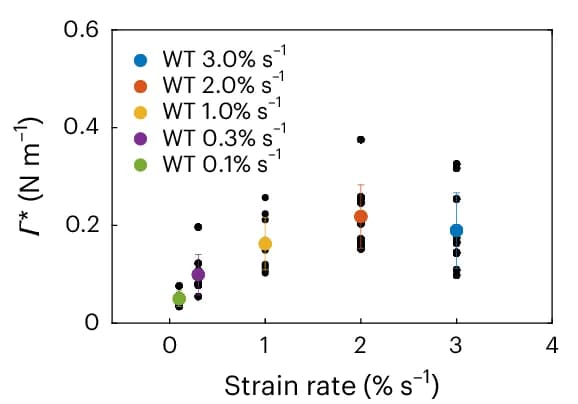 Open access visualization of Scatter Plot, Error Bars, Rupture Tension, Strain Rate, Monolayers
