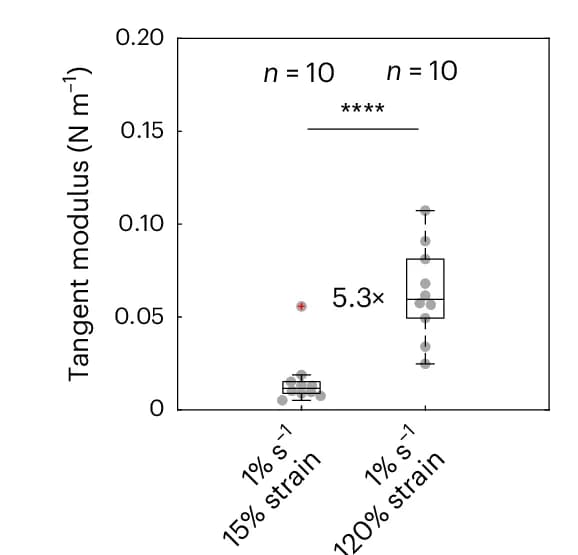 Open access visualization of Box Plot, Scatter Plot, Tangent Modulus, Strain, Fold Change
