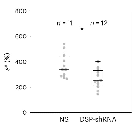 Open access visualization of Box Plot, Scatter Plot, Box Plots, Rupture Strain, Kolmogorov–Smirnov test