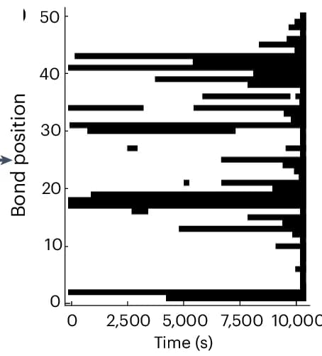 Open access visualization of Bar Plot, Linkers, Temporal Evolution, Constant Force, Unbound State