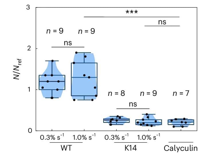 Open access visualization of Violin Plot, Box Plot, Scatter Plot, Linker Numbers, Monolayers