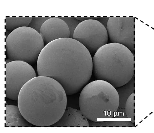 Open access visualization of Microscopy, SEM, PMMA Microparticles, QD Nanocrystals