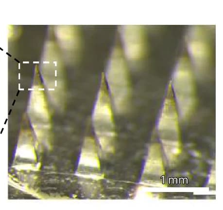 Open access visualization of Microscopy, Photo, Optical Imaging, MNP, QD–PMMA Microparticles