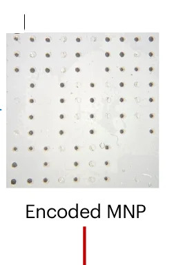 Open access visualization of Photo, Encoded MNP, Fabrication