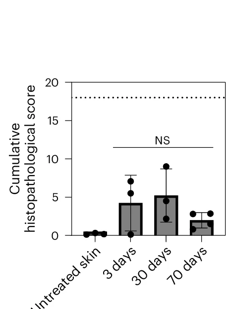 Open access visualization of Bar Plot, Error Bars, Histopathological Scoring, QDPMMA MNP, ANOVA