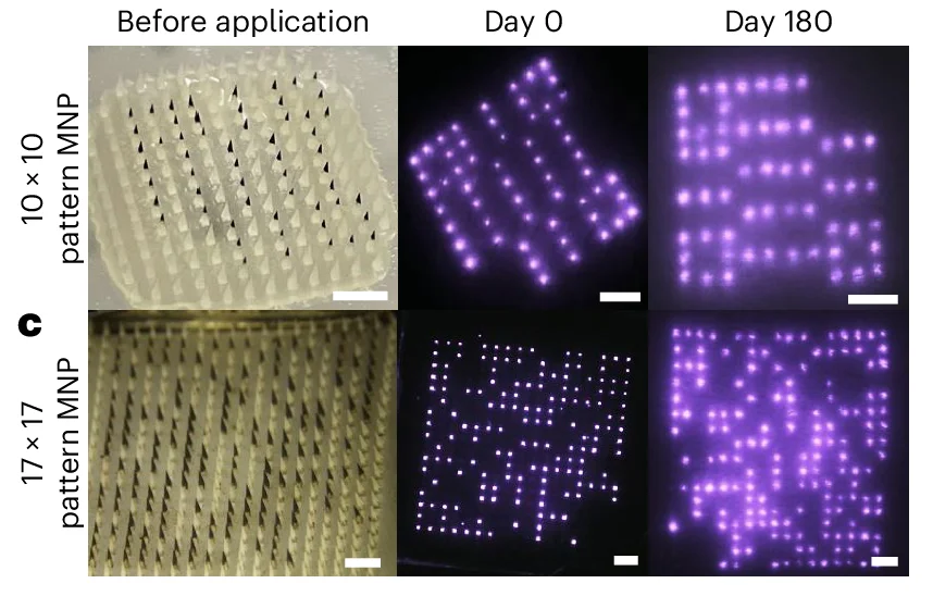 Open access visualization of Photo, Optical Image, OPMR MNP, NIR Footprint, Rats