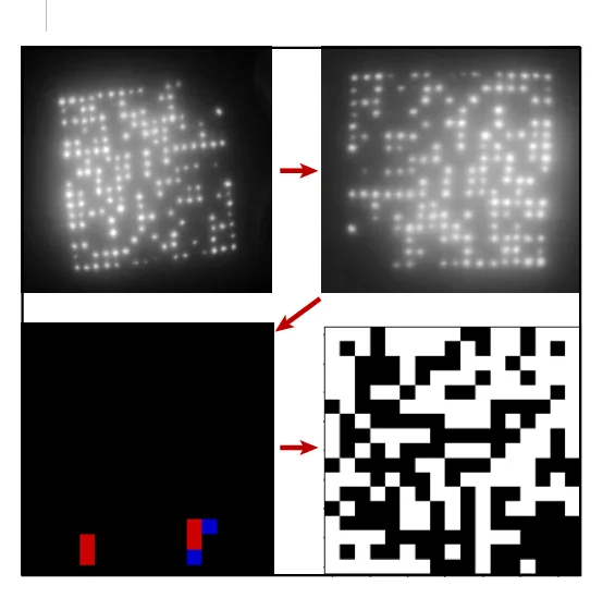 Open access visualization of Microscopy, Patterns, Error Bits, Decoding
