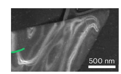 Open access visualization of Microscopy, ADF-STEM Image, Dislocation Line