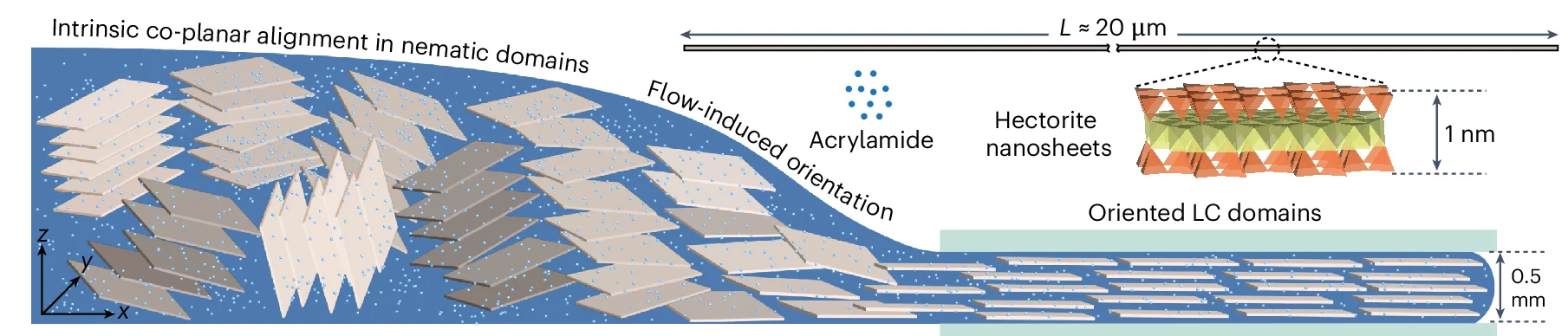 Open access visualization of Illustration, Chemical Structure, Nematic LC Domains, Nanosheets, Hydrogel