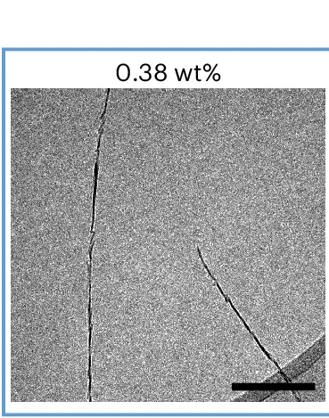 Open access visualization of Microscopy, TEM, Nanosheets, Hydrogel