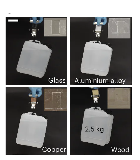 Open access visualization of Photo, Substrates, Hydrogels, Adhesion, Scale Bar