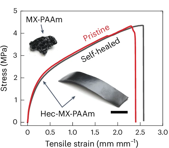 Open access visualization of Line Plot, Photo, Hydrogel, Stiffness, Mechanical Strength
