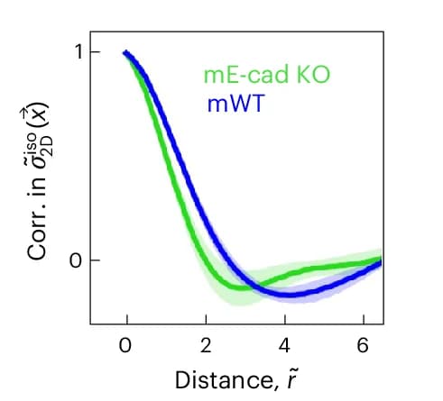 Open access visualization of Line Plot, Error Bars, Spatial Correlation, Stress, Cell Type