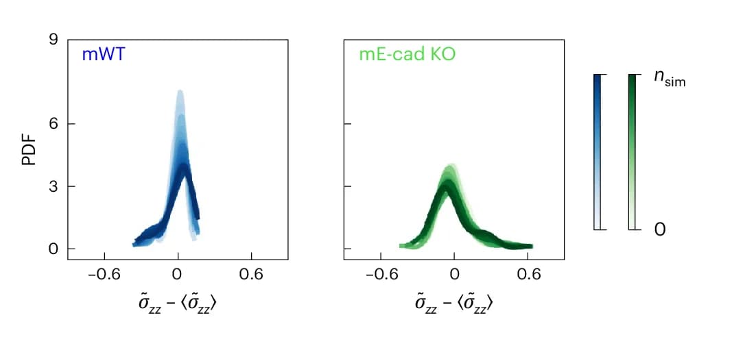 Open access visualization of Density Plot, Line Plot, Probability Density Function, Stress Component, Compression