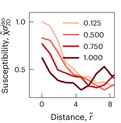 Open access visualization of Line Plot, Susceptibility, Stress Field, mE-cad KO Cells, Cell-Substrate Adhesion