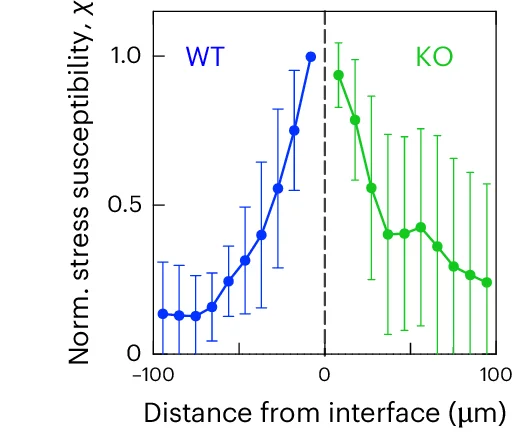 Open access visualization of Line Plot, Error Bars, Isotropic Stress, Cell Interface, Mixed Cultures