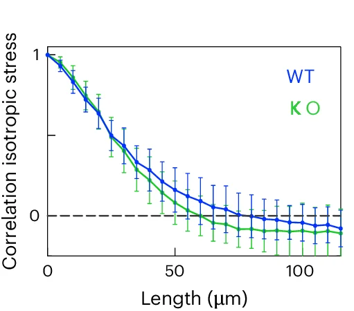 Open access visualization of Line Plot, Error Bars, Spatial Autocorrelation, Isotropic Stress, Cell Type