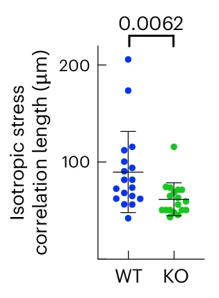 Open access visualization of Scatter Plot, Error Bars, Correlation Length, Isotropic Stress, Cell Type