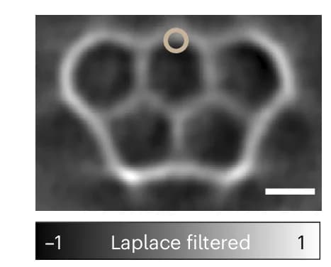 Open access visualization of Microscopy, nc-AFM Image, Olympicene