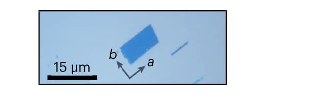 Open access visualization of Microscopy, Photo, Microscopic Image, CrSBr Flakes, SiO2/Si Substrate
